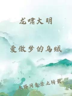 龙啸大明