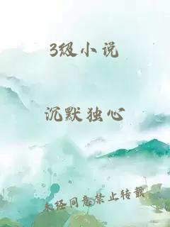 3级小说