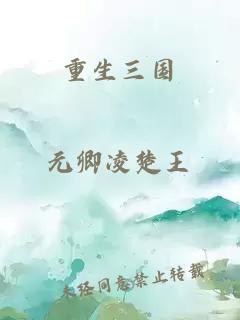 重生三国