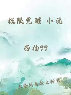 极限觉醒 小说